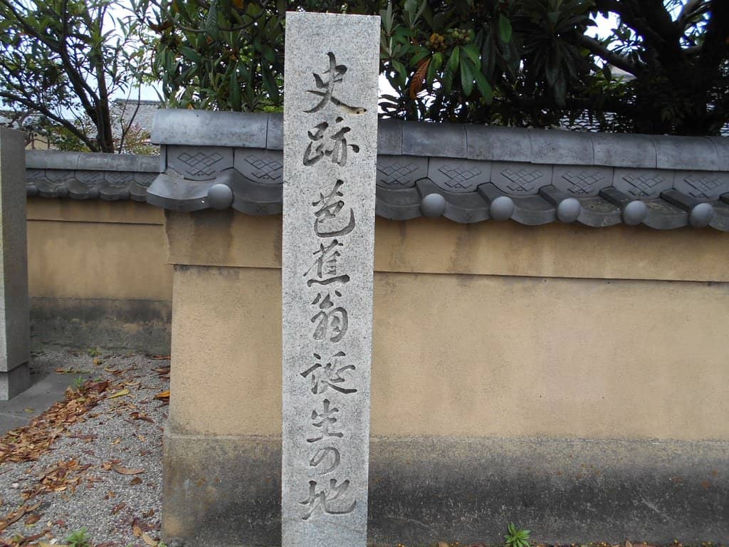 The Banana Tree (Basho Tree)