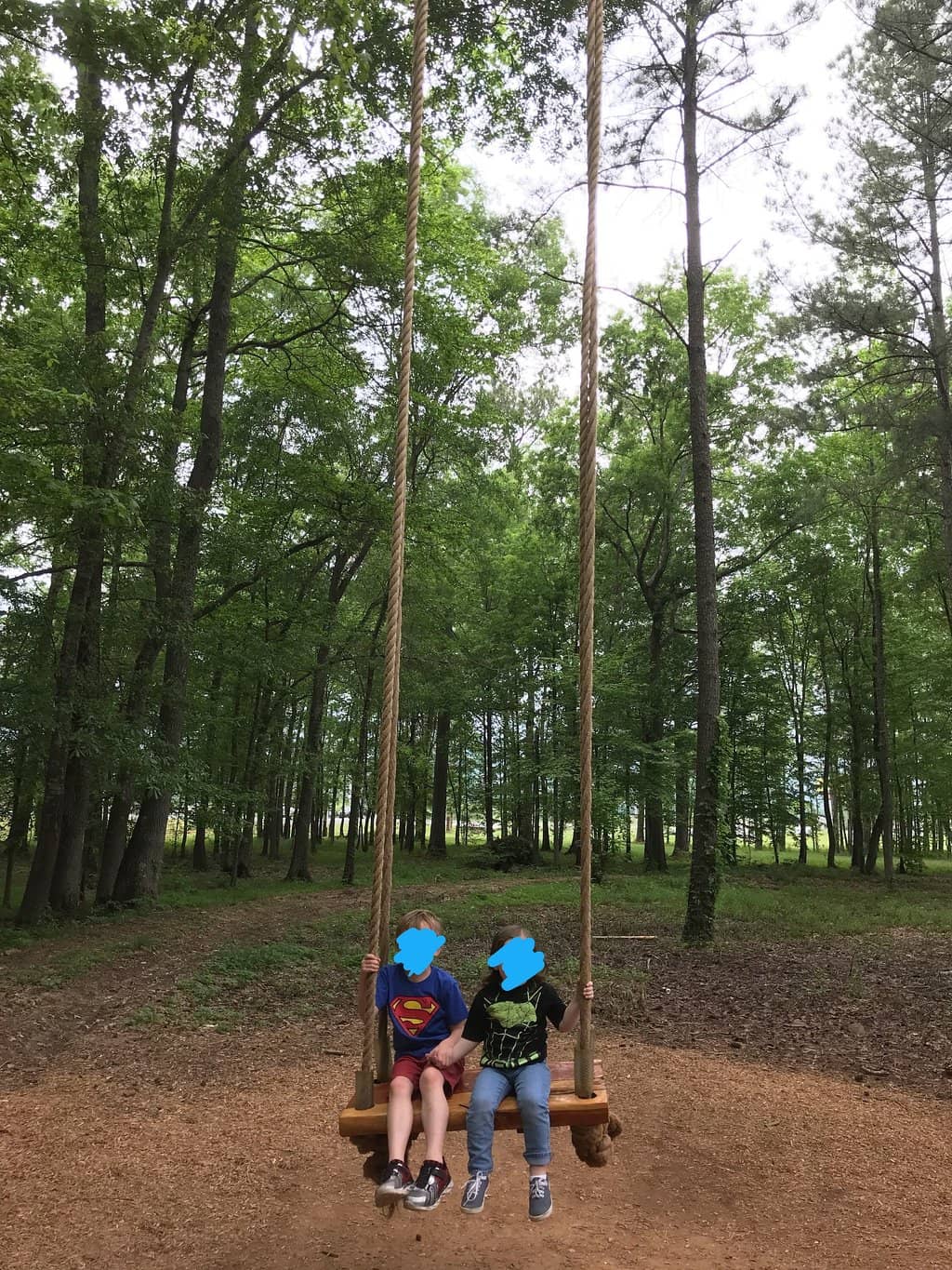 Playground & Picnic Areas