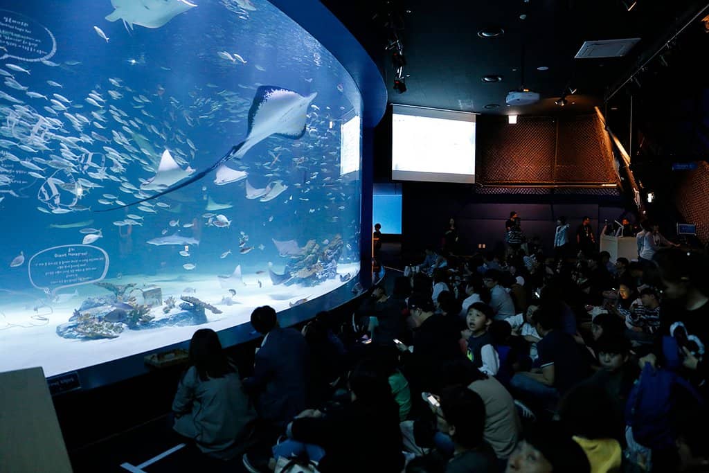 Seal Collection Challenge