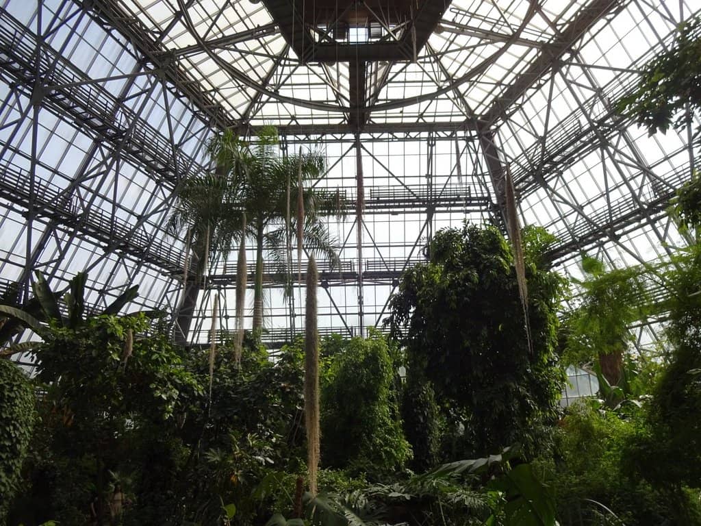 City and River Views