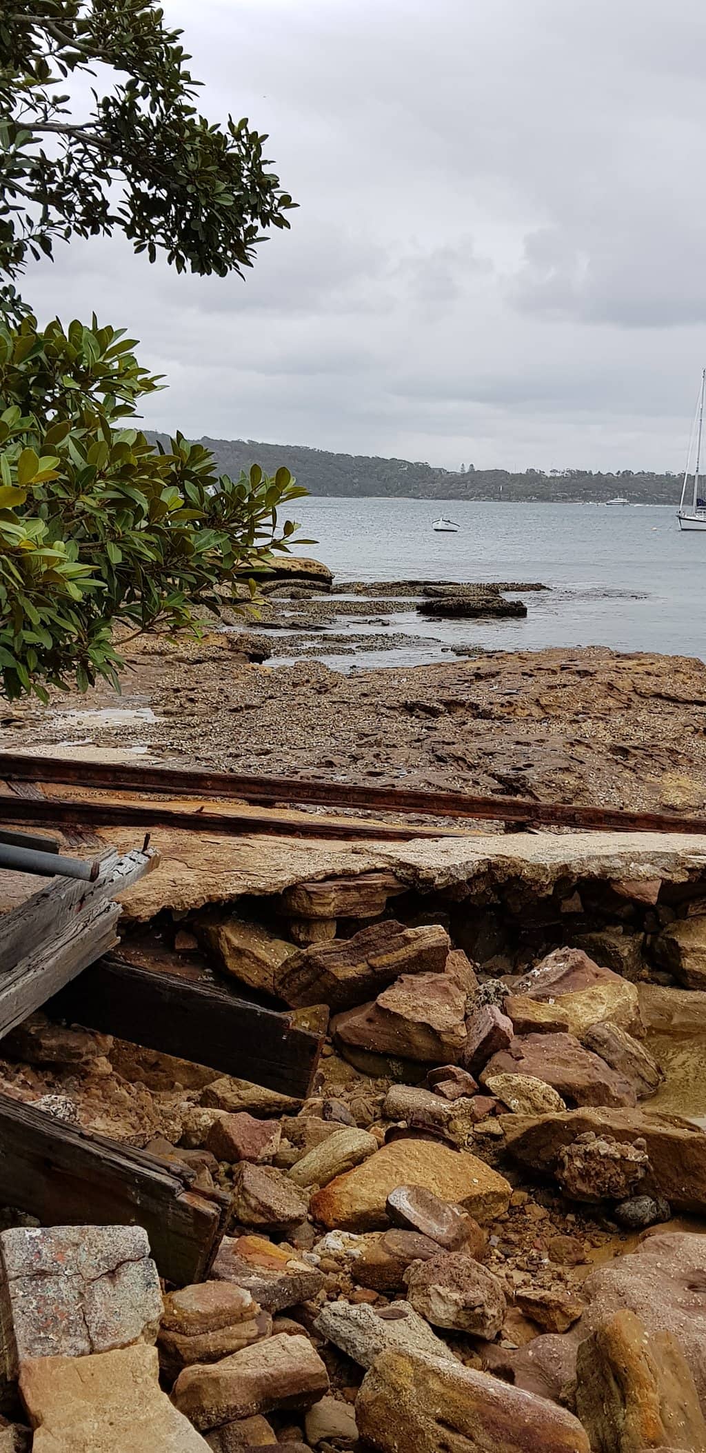 Dog-Friendly Paradise