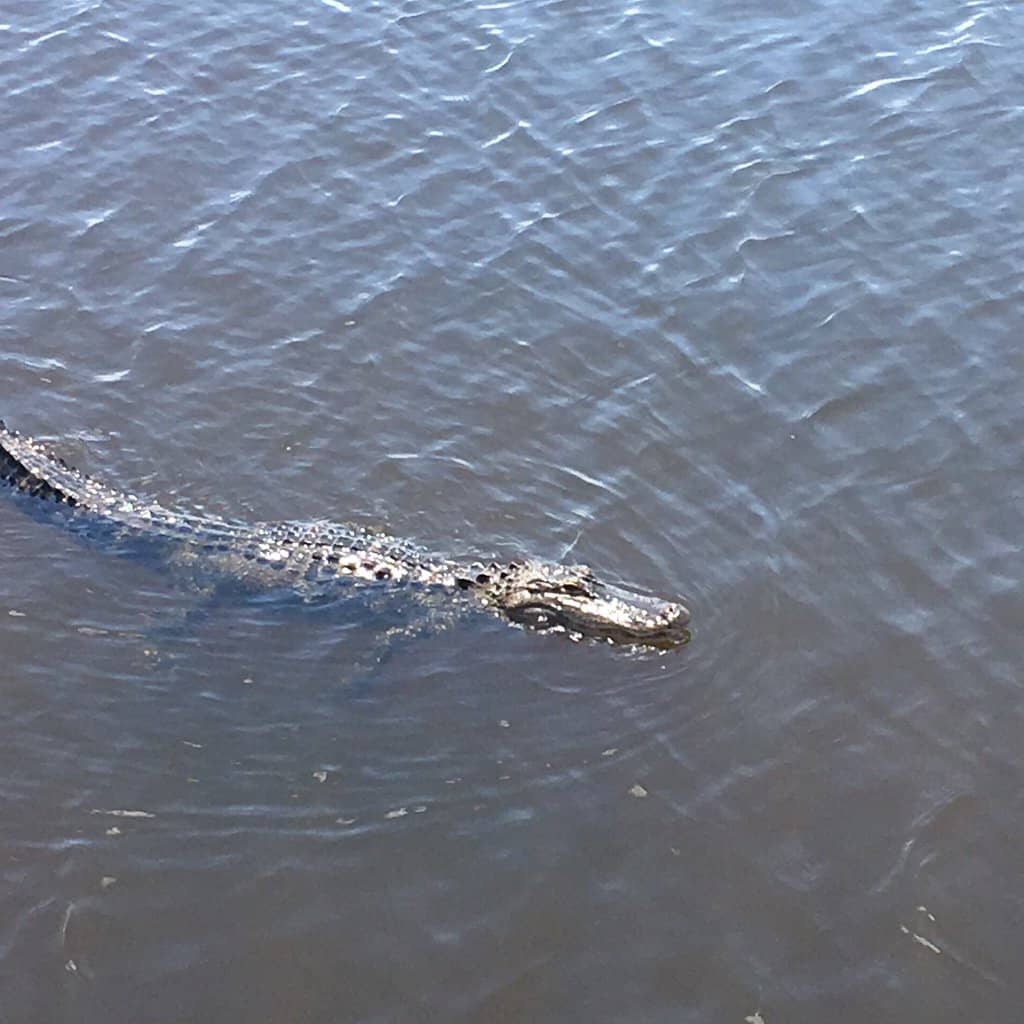 Walking & Biking Trails