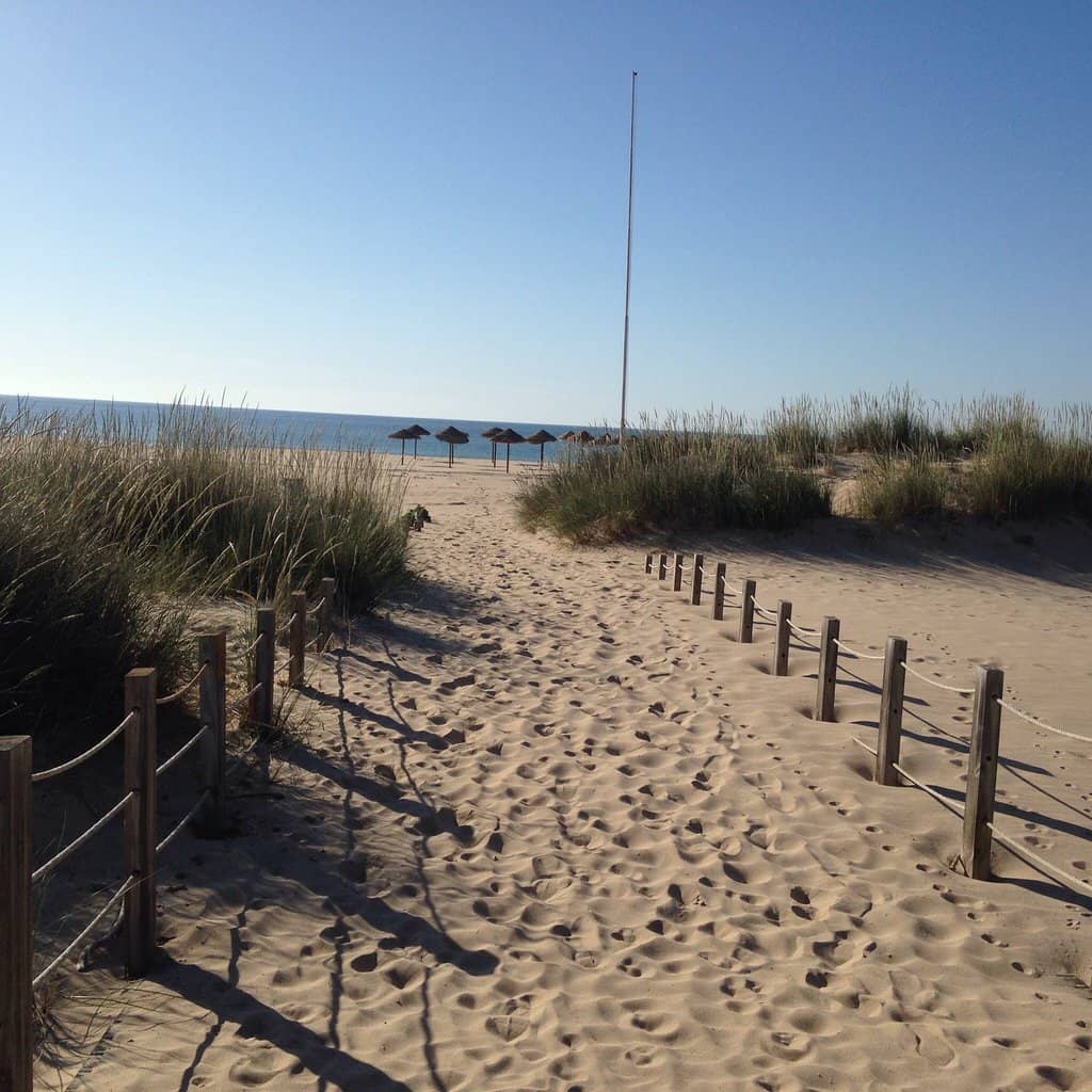 Coastal Boardwalk