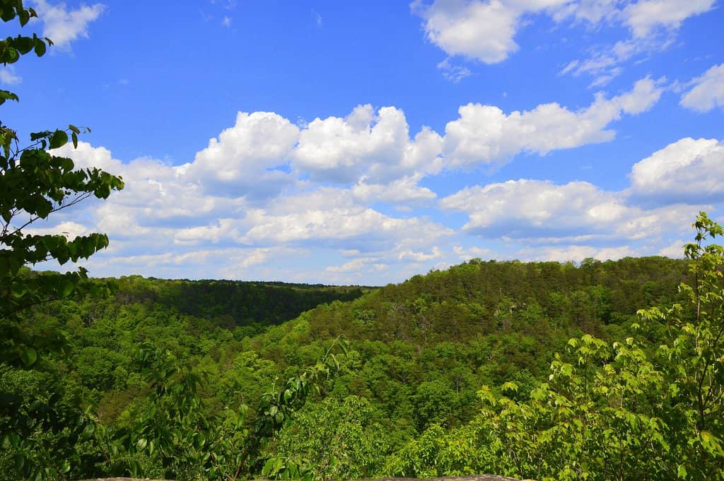 Canyon Rim Drive