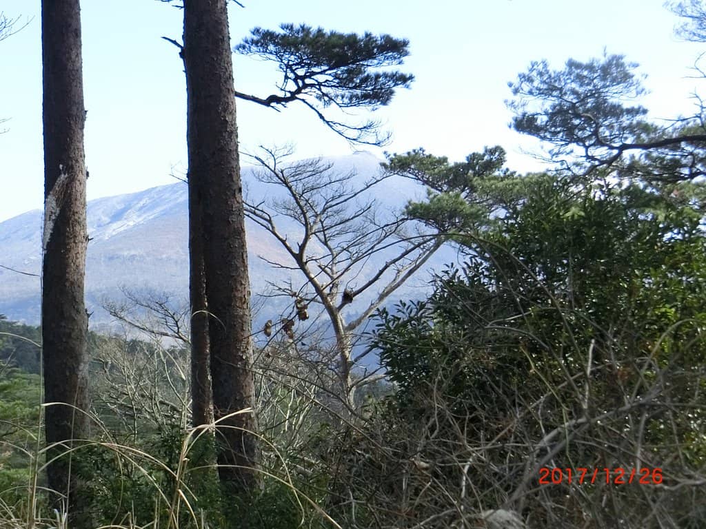 Kirishima Mountain Range Hike
