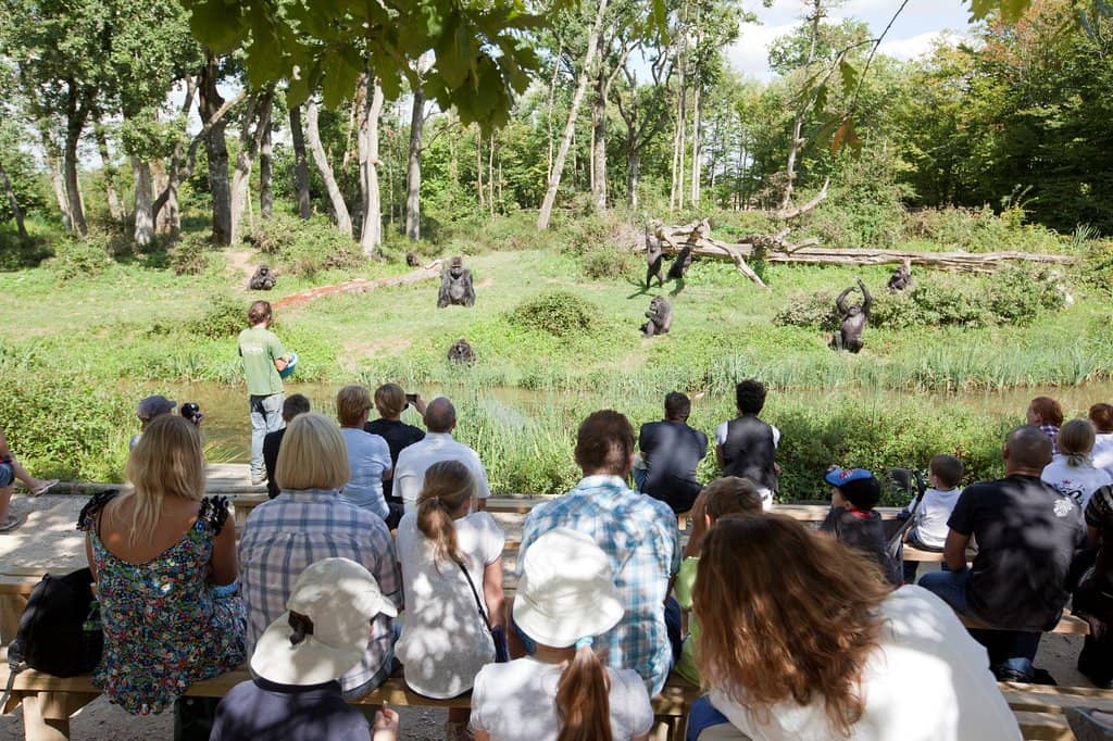 Conservation Awareness