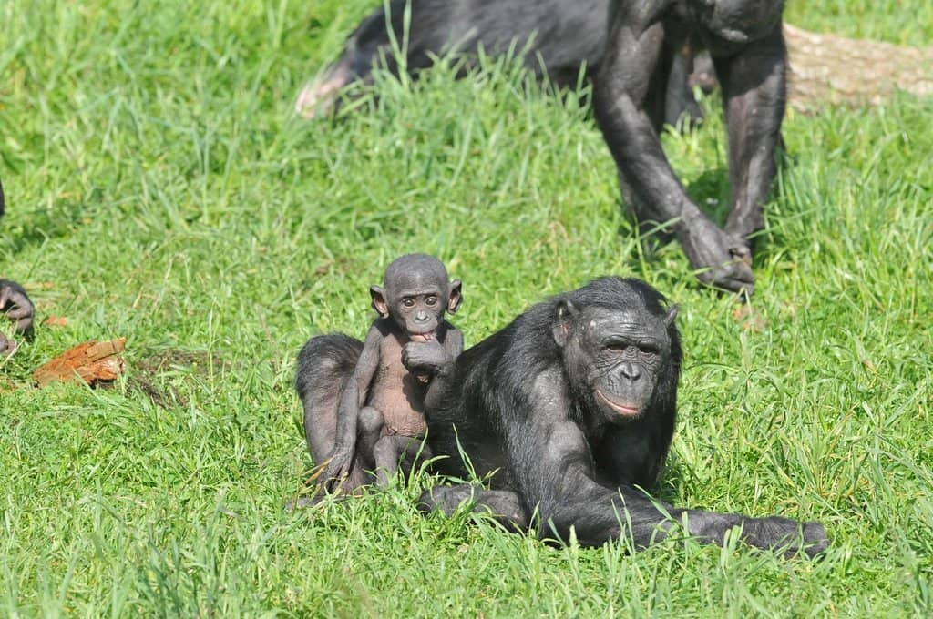 Walk-Through Experience