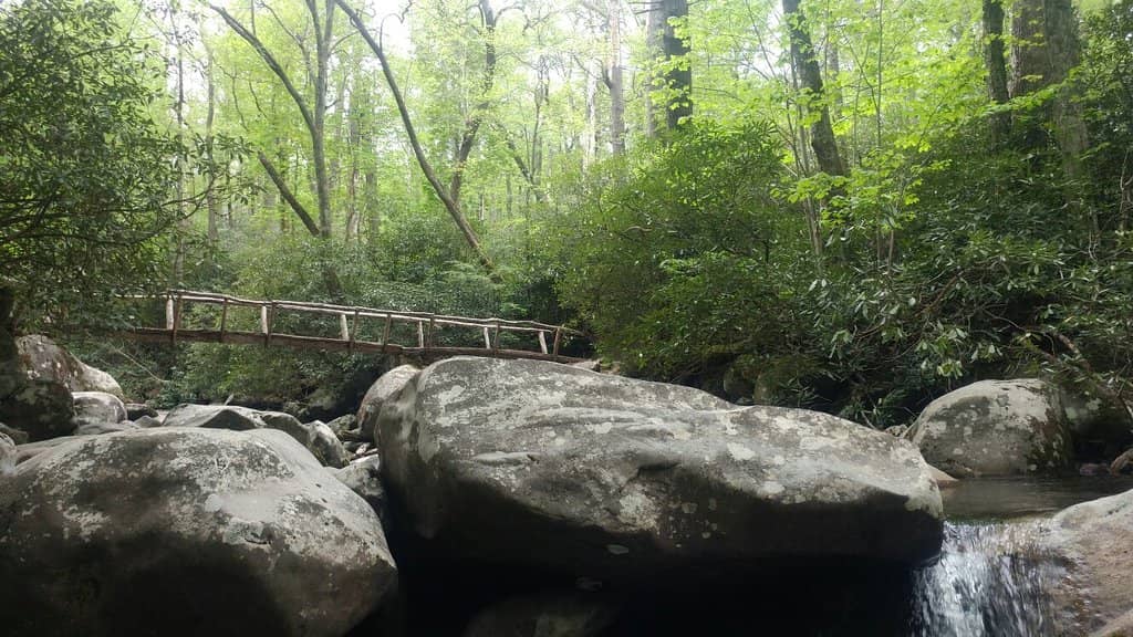 Fern Branch Falls
