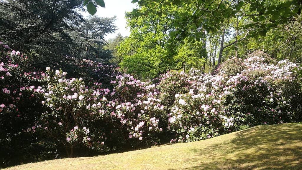 Gertrude Jekyll Gardens