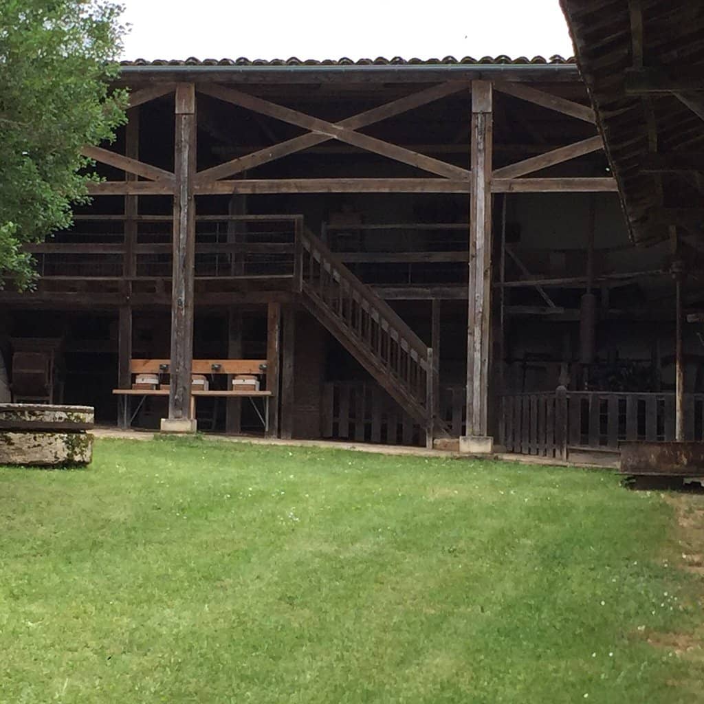 Interactive Workshops