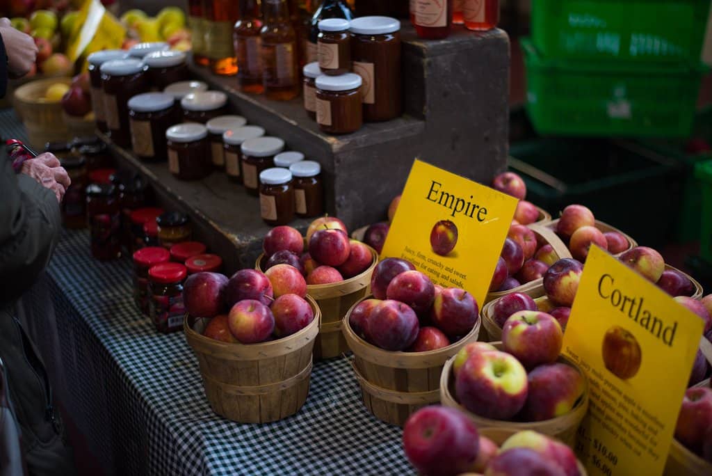 Atlético Ottawa Soccer