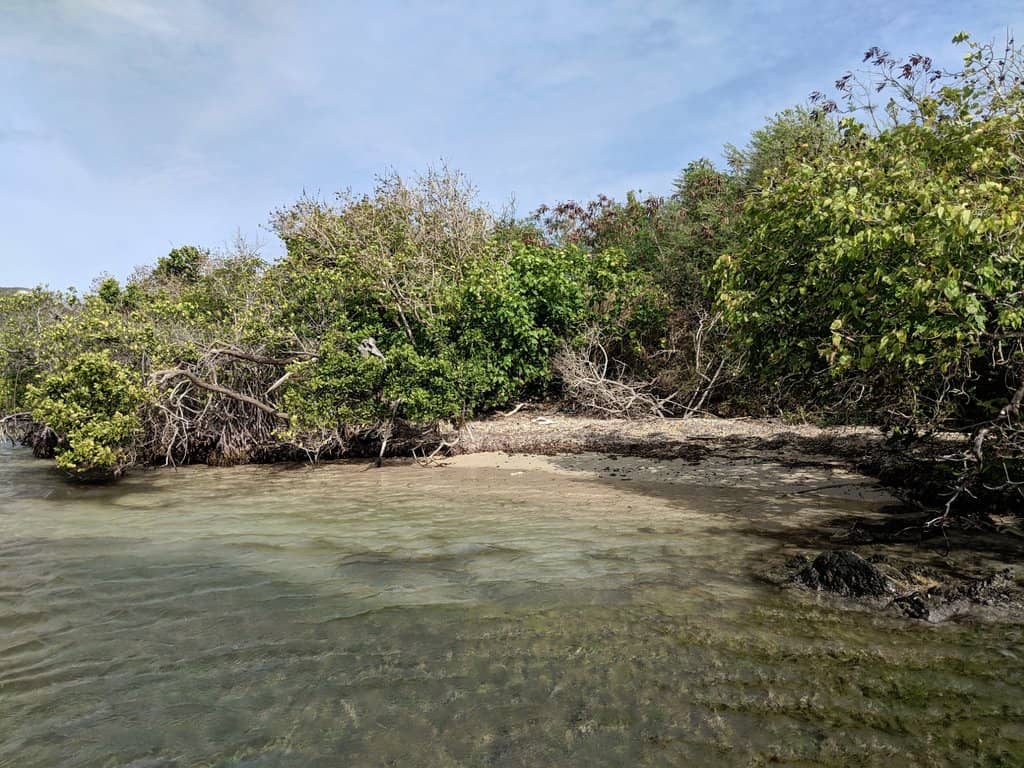 Historical Landing Site