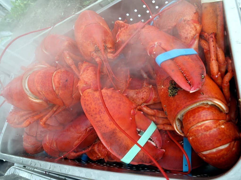 Diverse Seafood Offerings