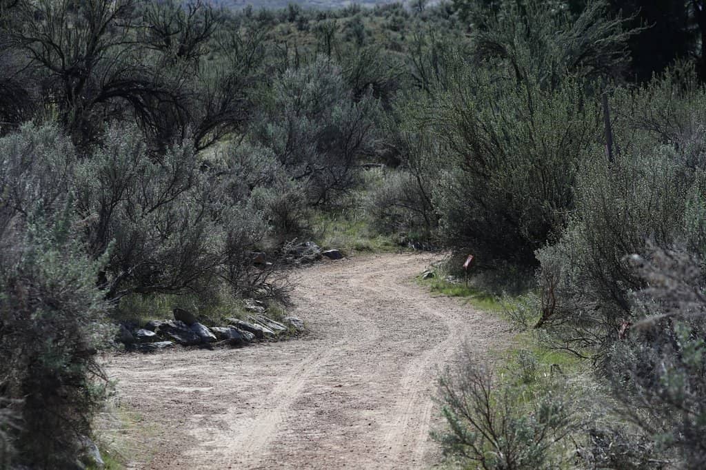Desert Loop Trail