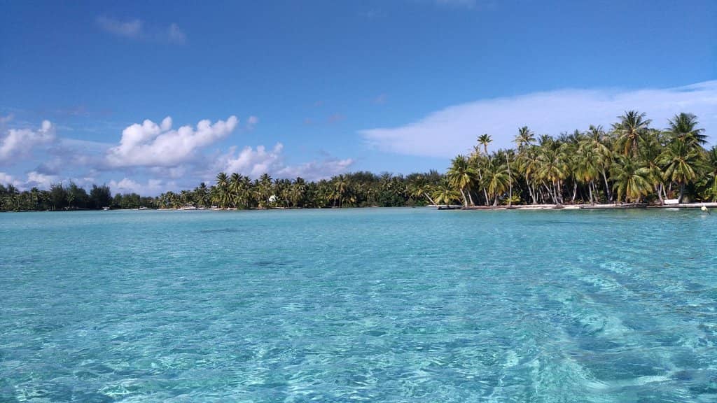 Manta Ray Encounters