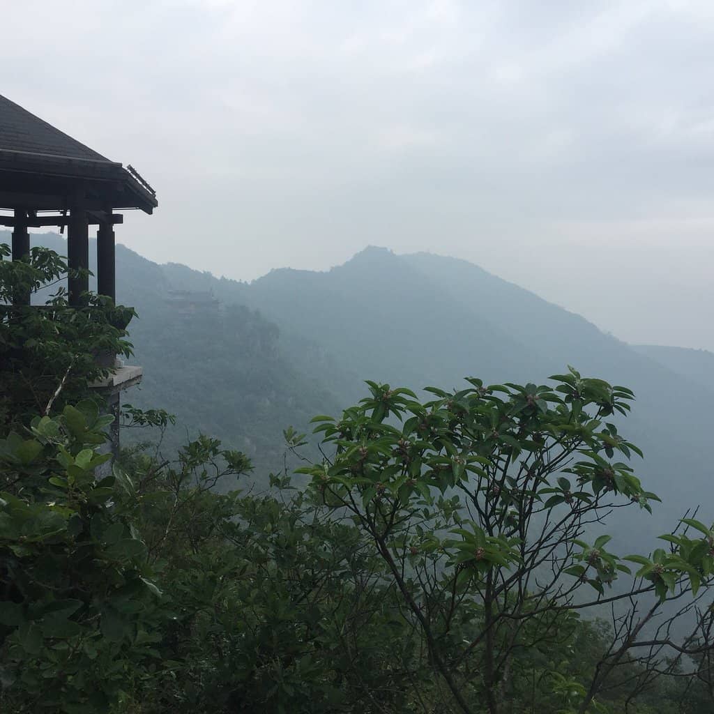 Camping Under the Stars