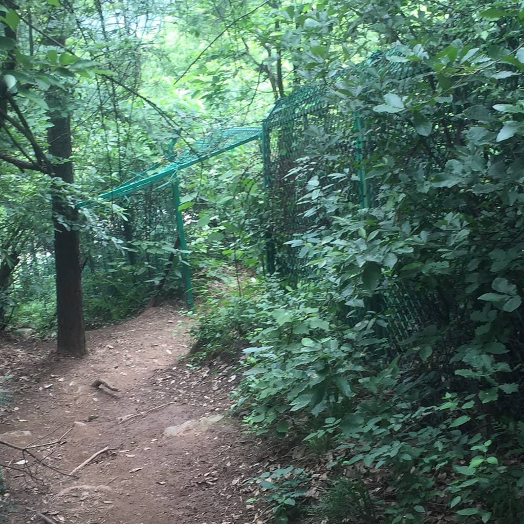 Tranquil Duck Boat Rides