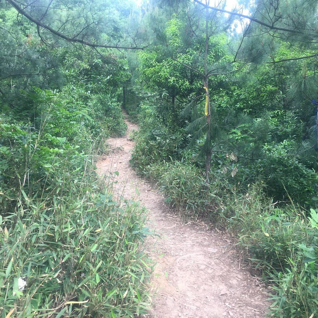 Blooming Spring Gardens