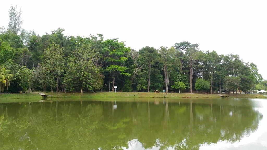 Sports Courts