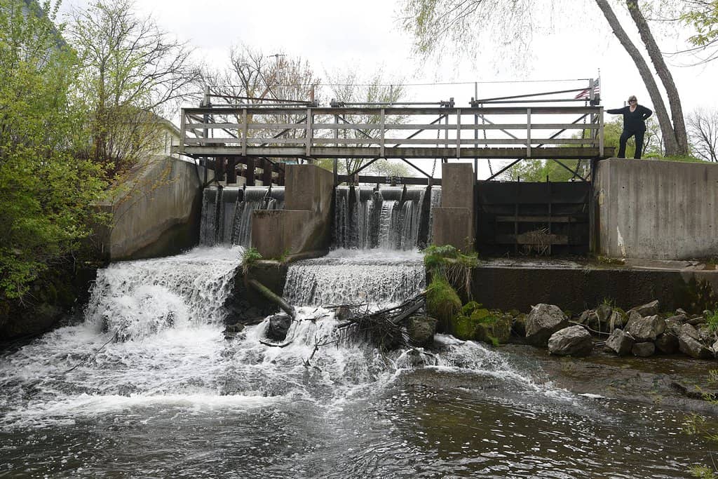 Interactive Scavenger Hunt