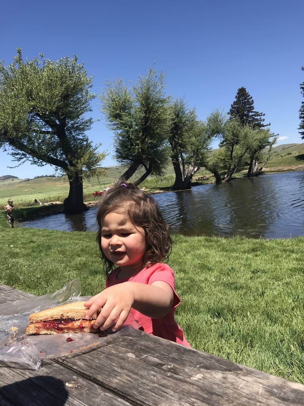 Seasonal & Specialty Cheeses