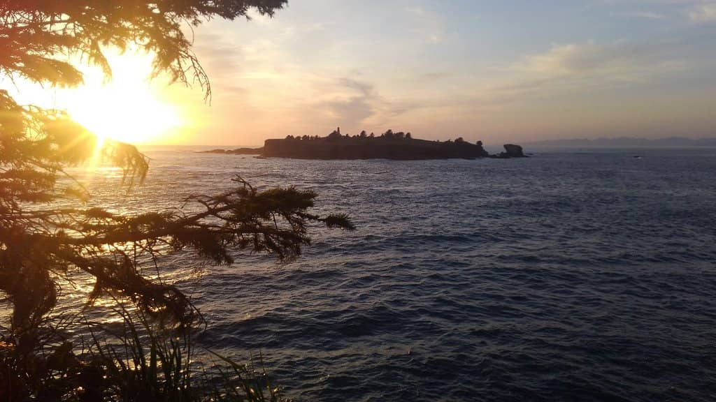 Tatoosh Island Views