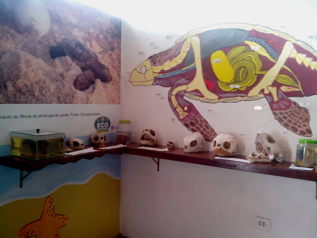 Interactive Learning Exhibits