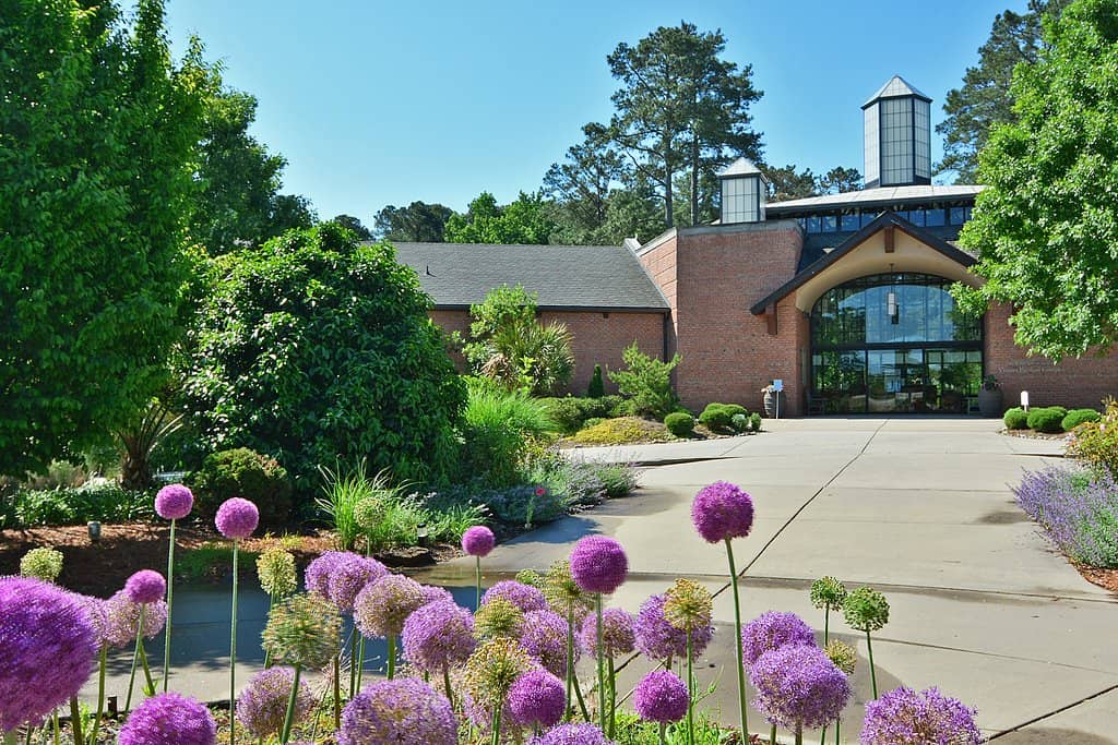 The Majestic Pergola