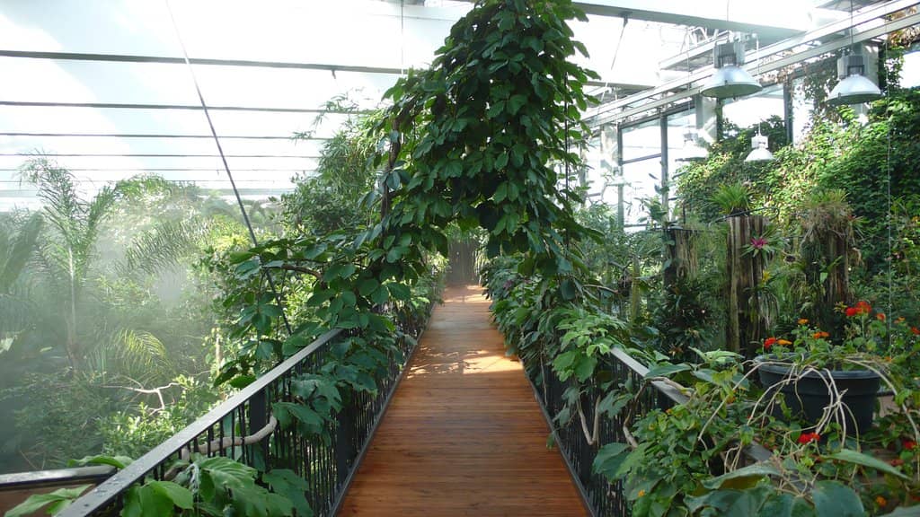 Butterfly House