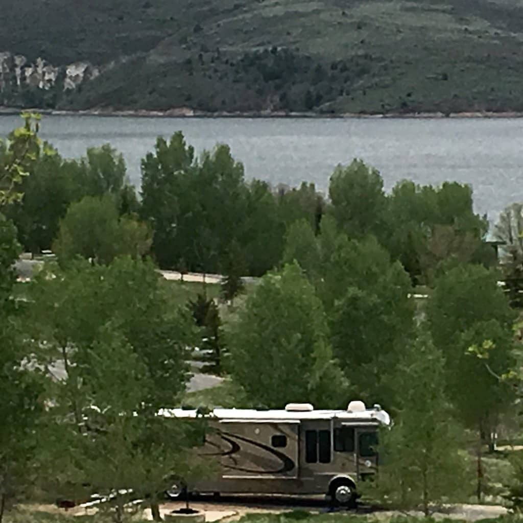 Wildlife Viewing