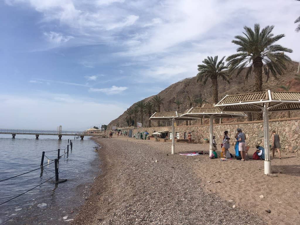 Snorkeling and Diving