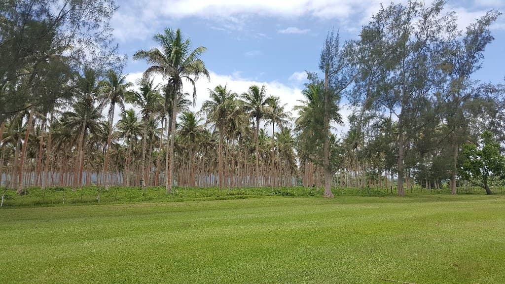 Driving Range & Chipping Greens