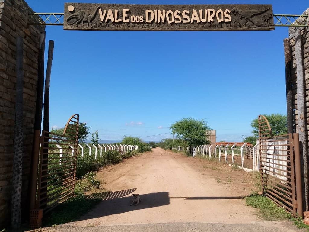 Mesozoic Era Journey