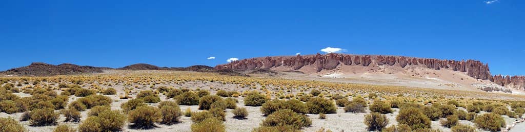 Vast Salt Flats
