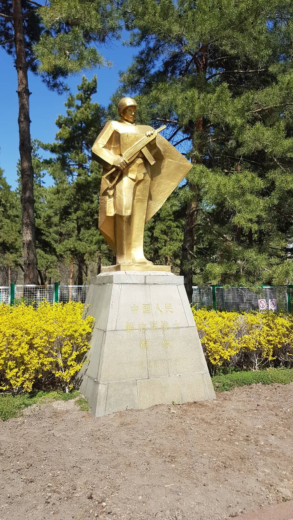 Local Dance Performances