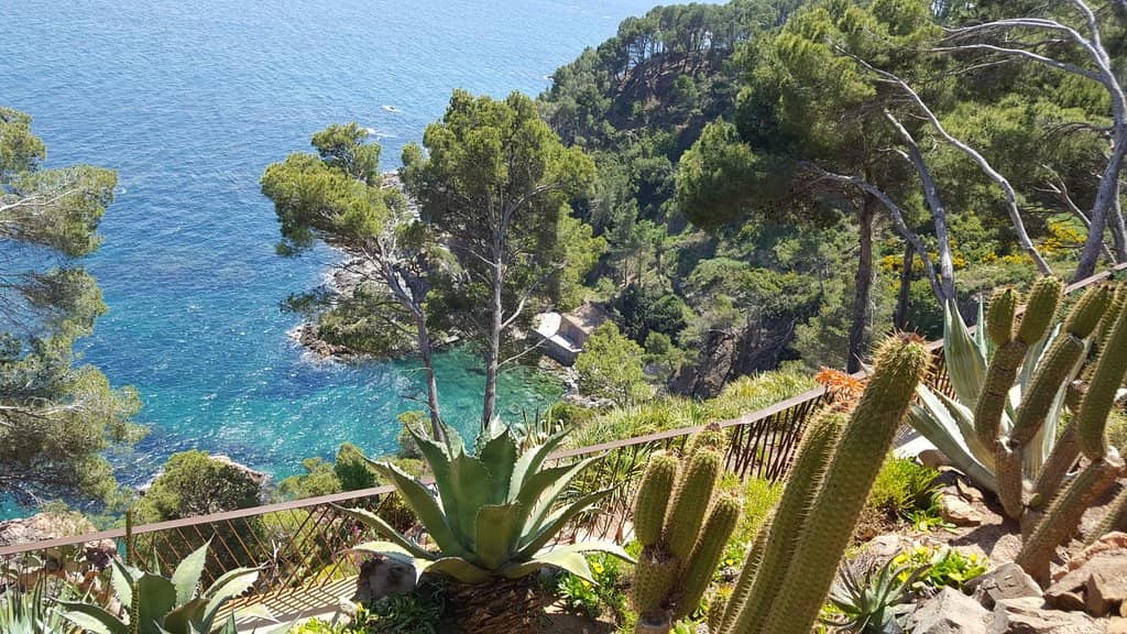 Secluded Beach (Cala)