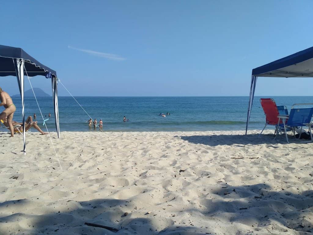 Mangrove Exploration