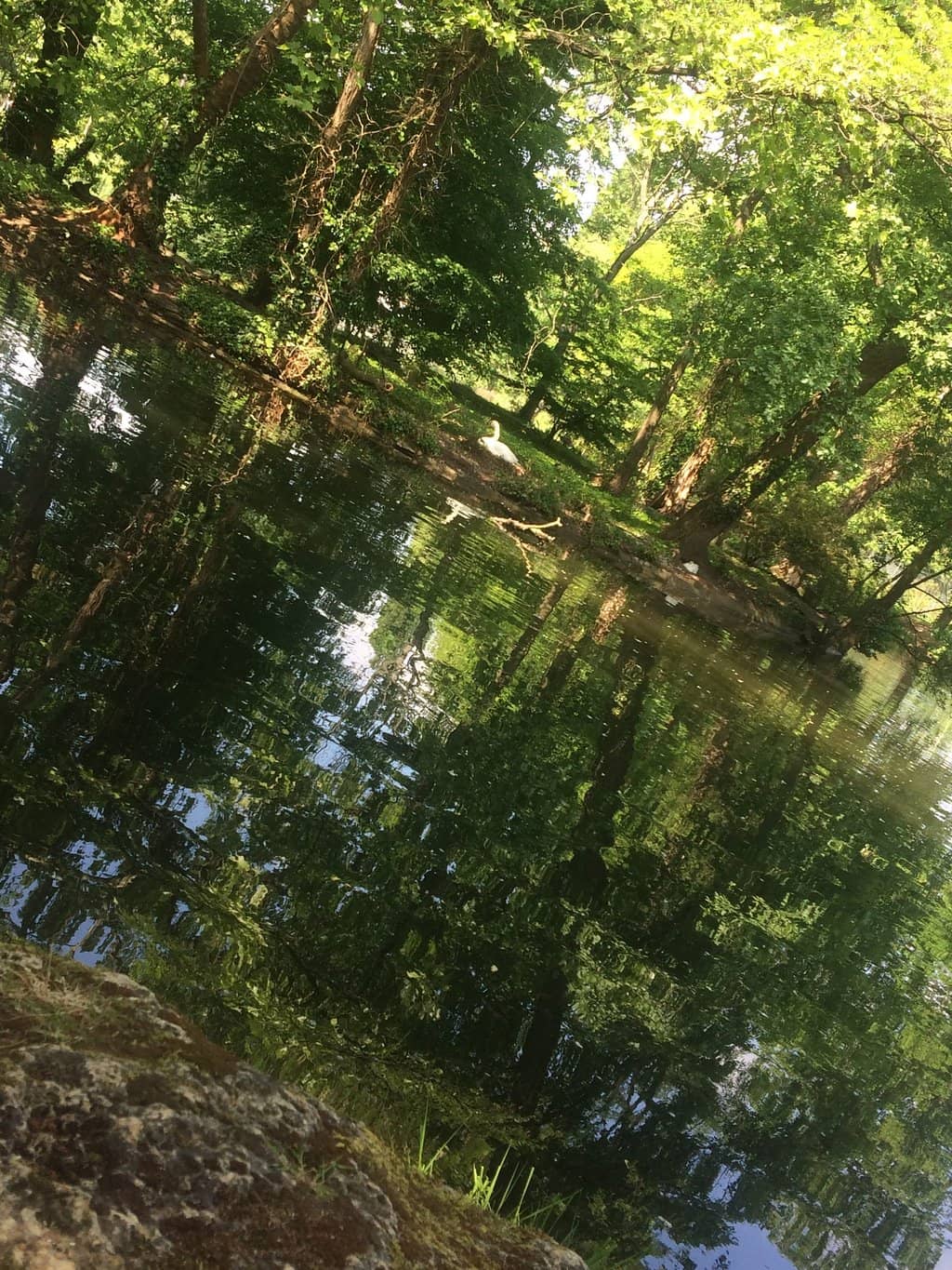 Picturesque Picnic Spots