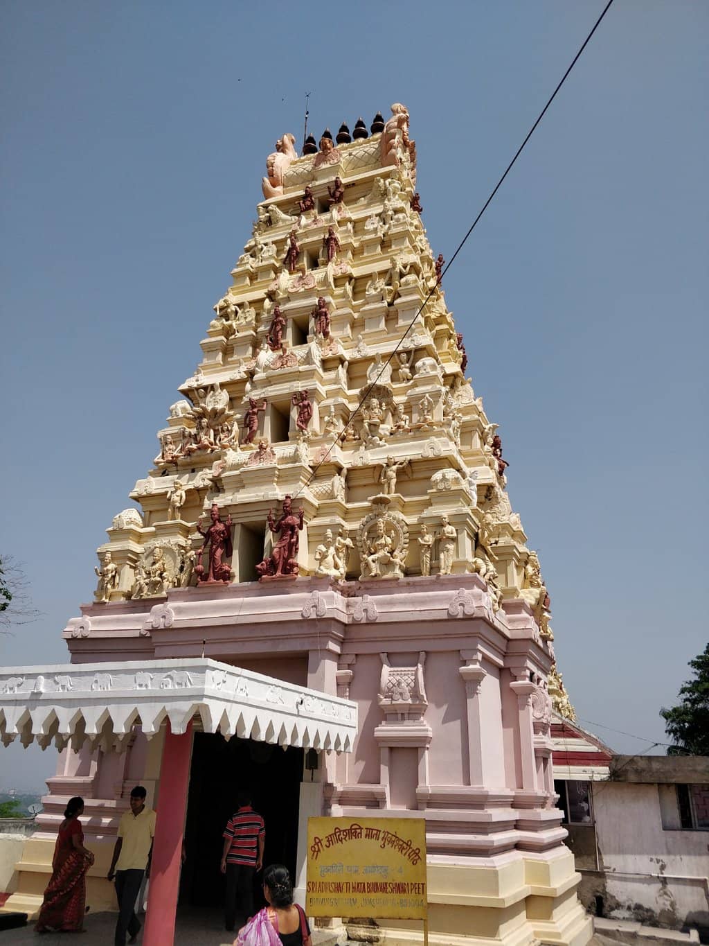 Vertical photo