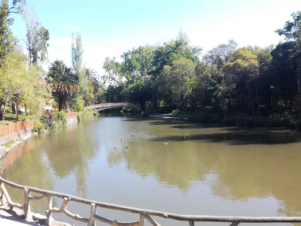 Tranquil Lake