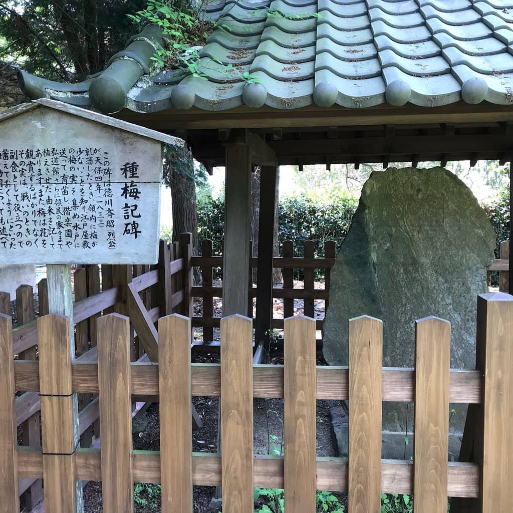 Contemporary Art Gallery