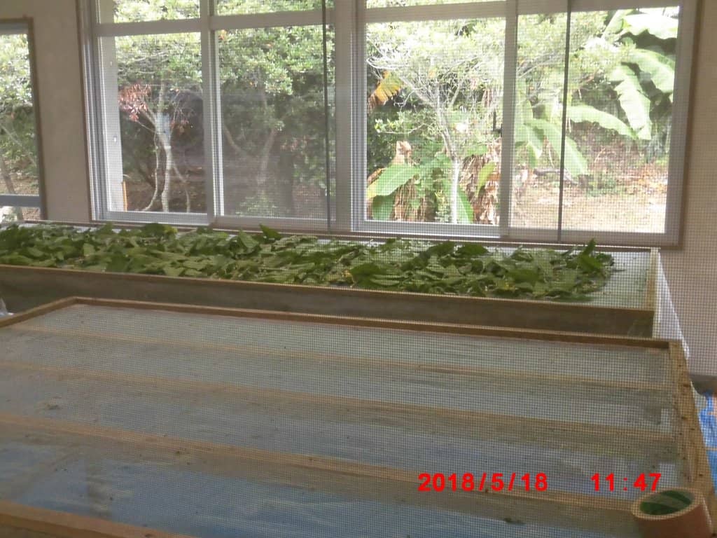 Hands-on Experiences