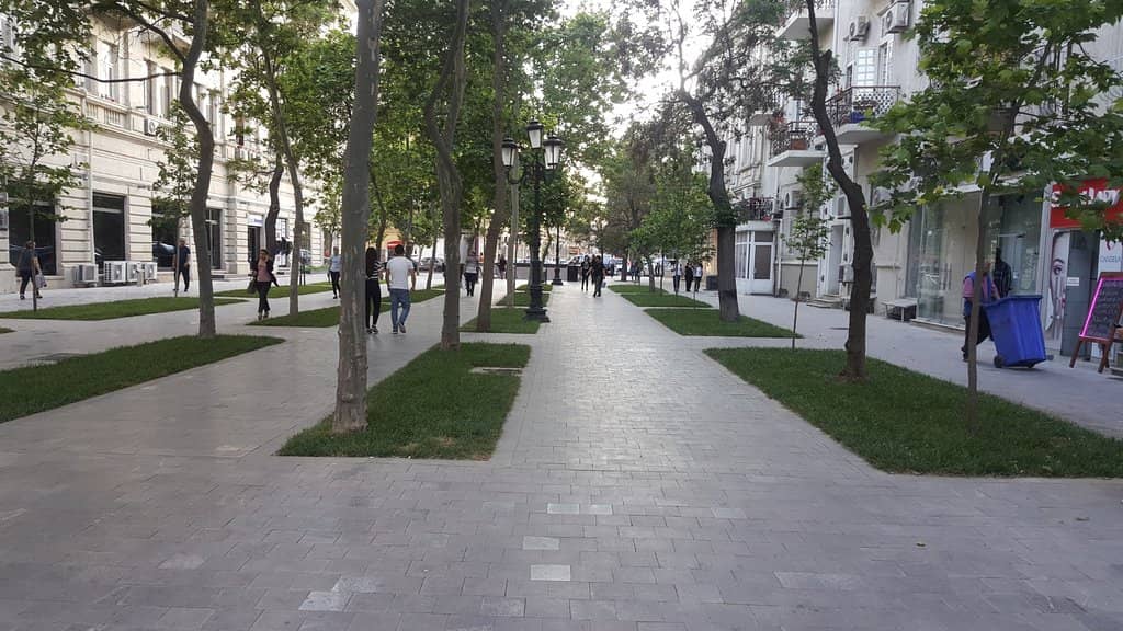 Bustling Pedestrian Hub