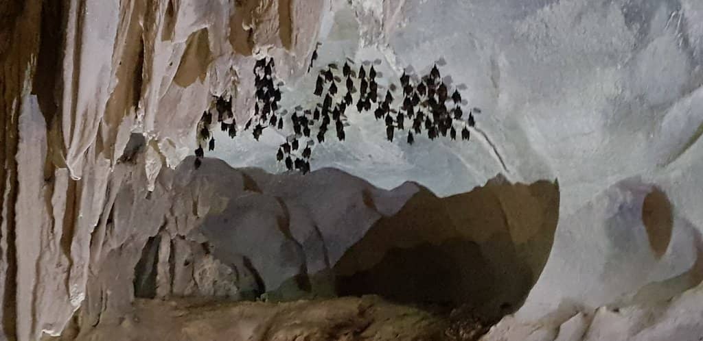 Stalactite Formations