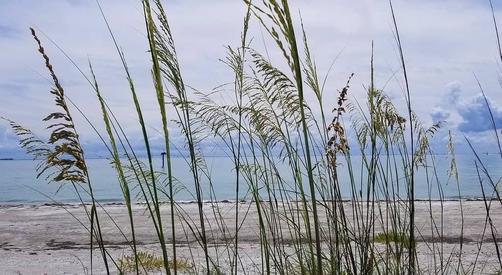 Wildlife Refuge & Beaches