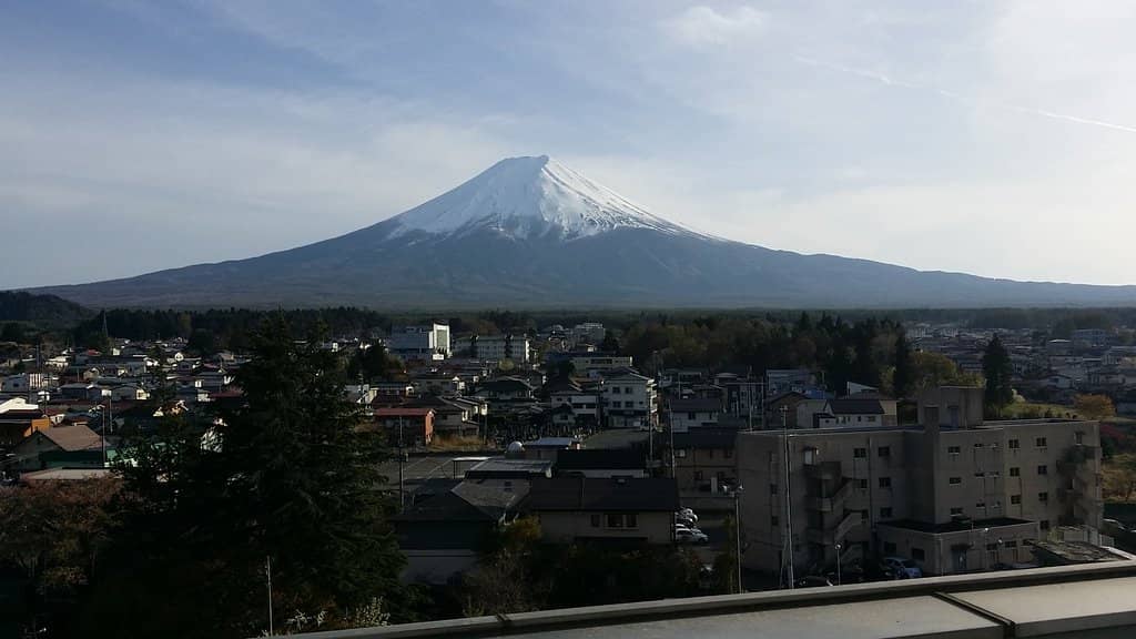 Delicious Local Eats