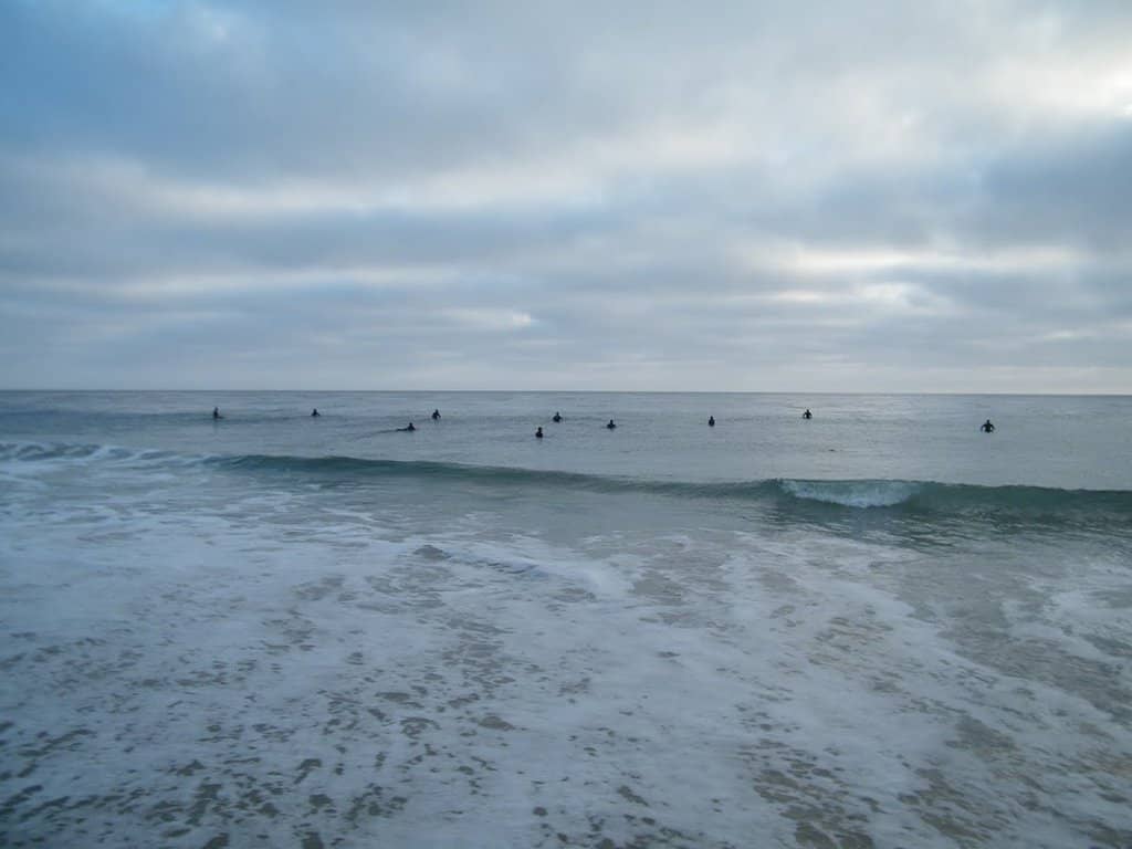 Telegraph Hill Views