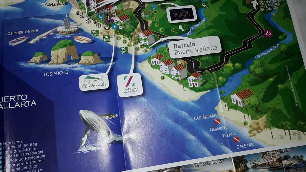 Vibrant Underwater World