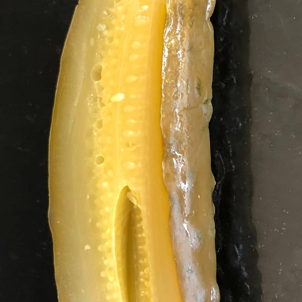 Regional Deli Favorites