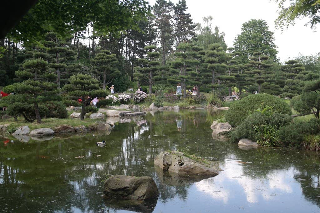 Outdoor Swimming Pool